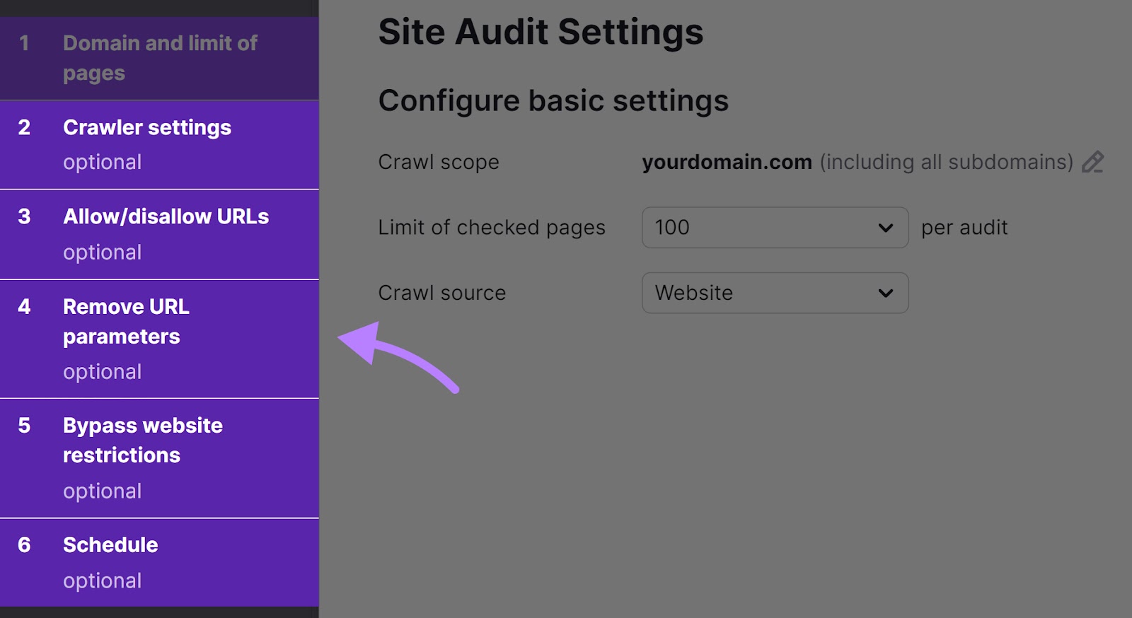 "Site Audit Settings" tabs