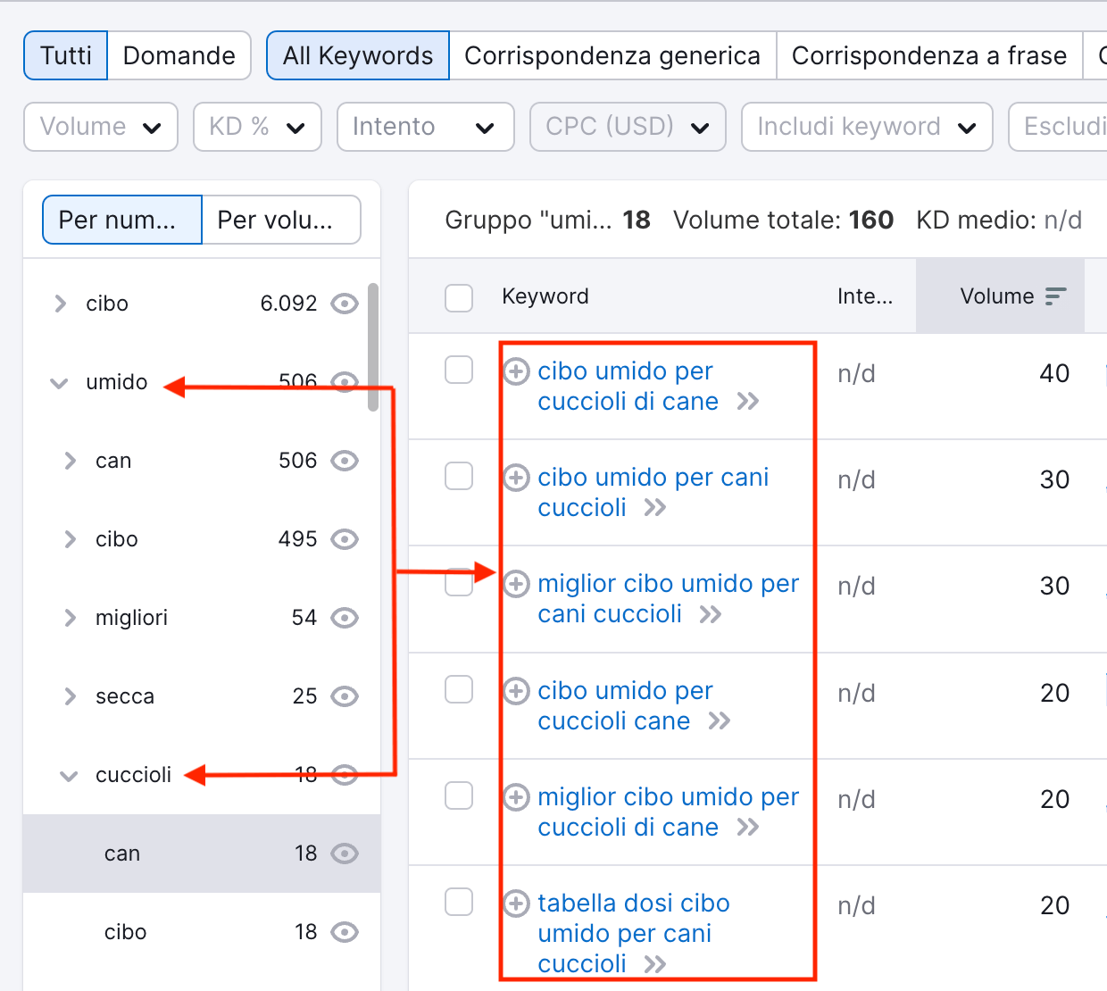 Esempio di gruppi tematici su Keyword Magic tool