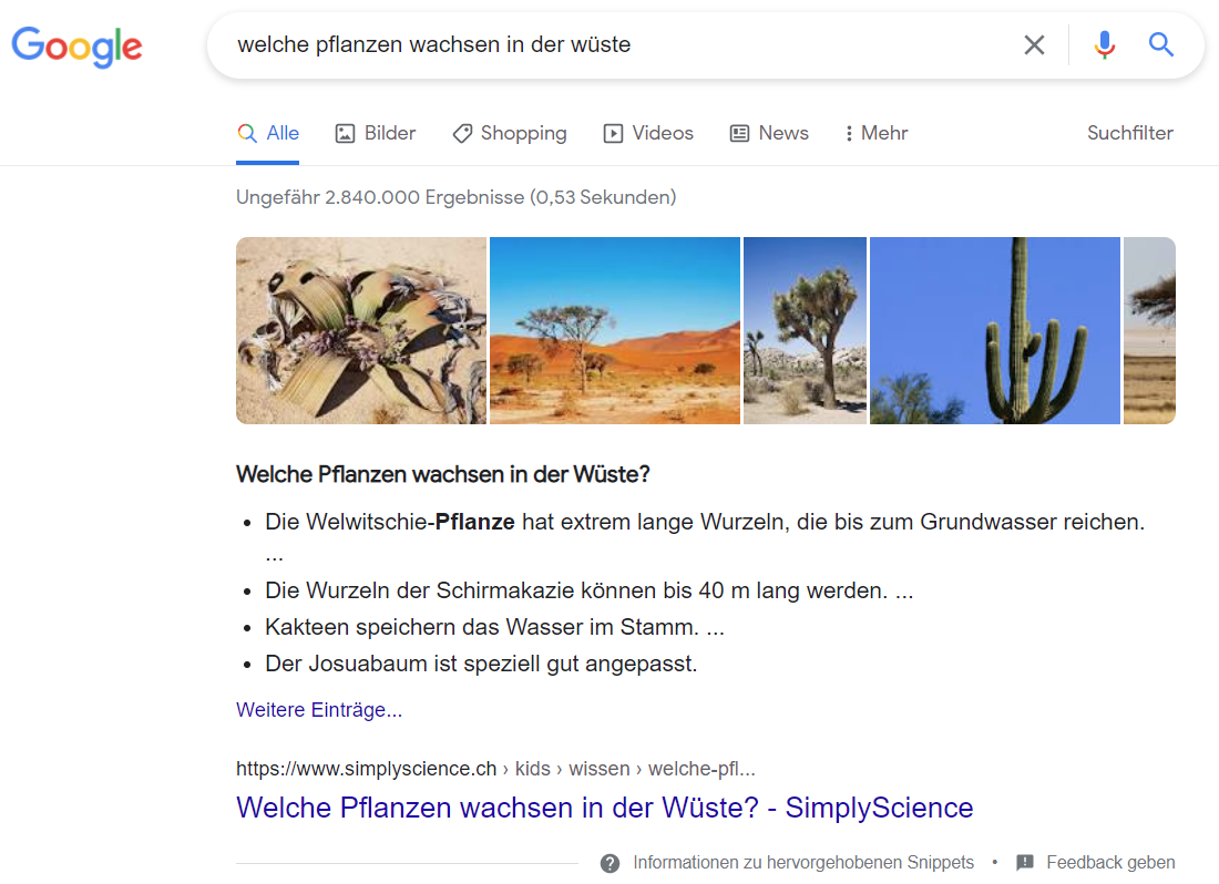 Google-Suchergebnis
