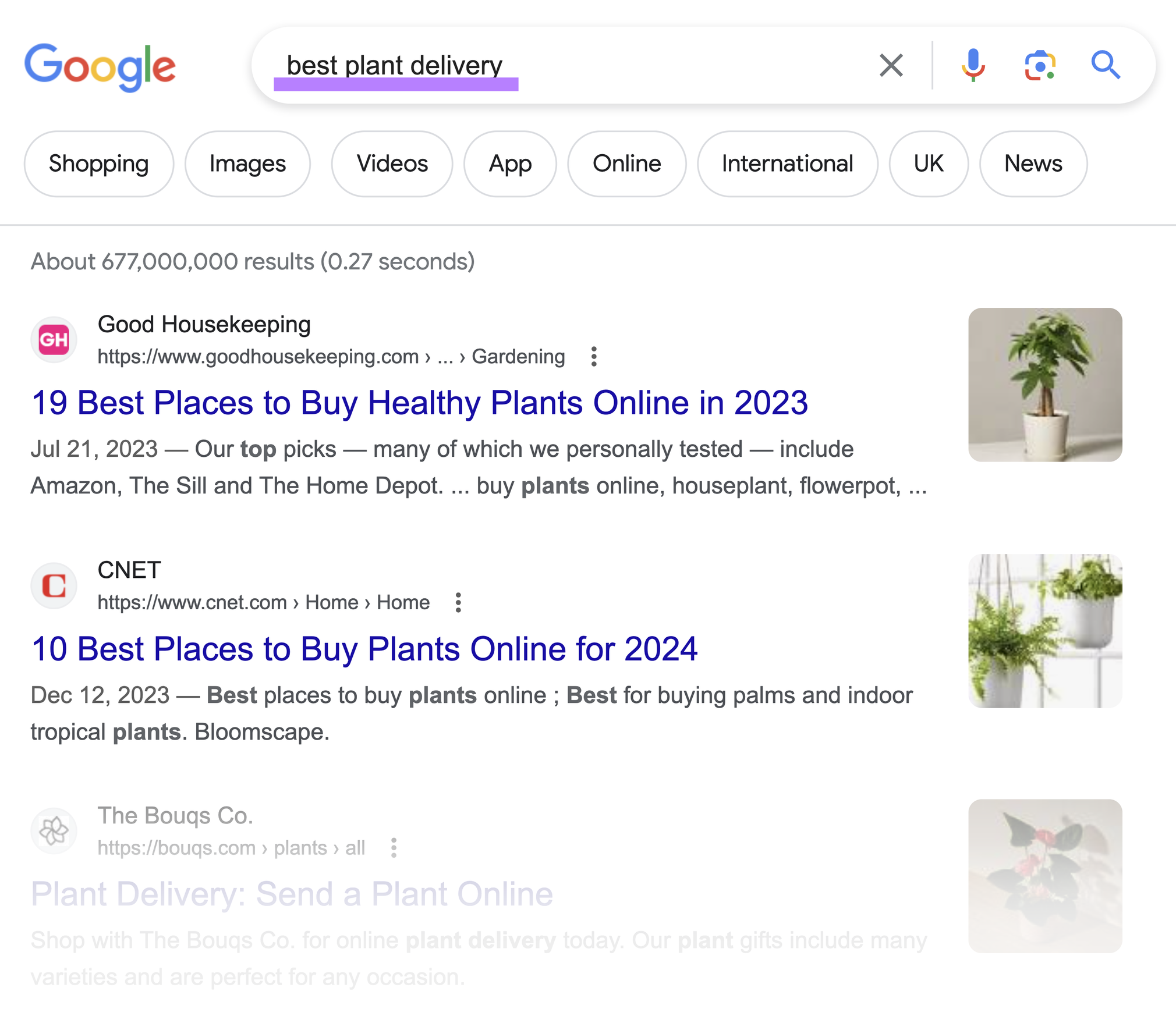 Google SERP for "best plant delivery"