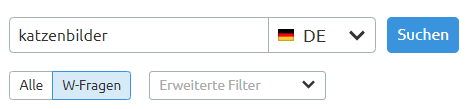 Der W-Fragen-Filter