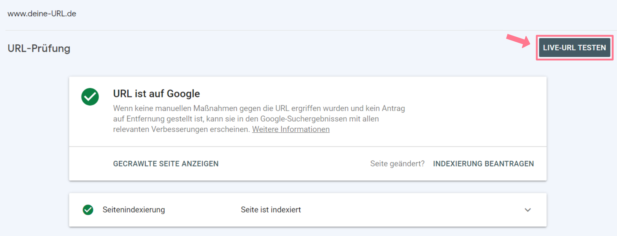 Live URL Testen Google Search Console