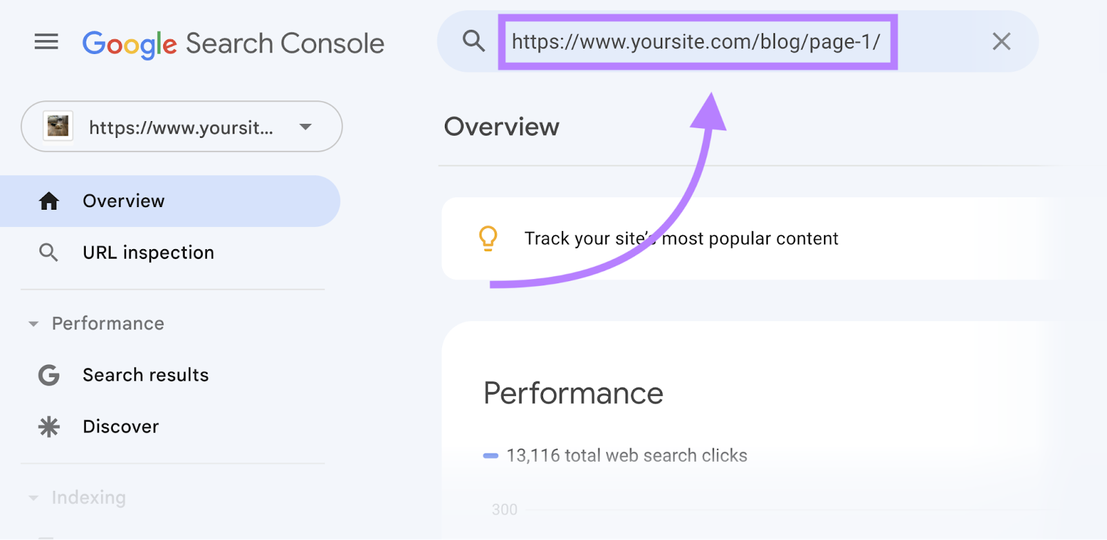 Google Search Console interface highlighting a URL successful  the hunt  bar