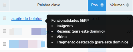 Categorías y funcionalidades SERP