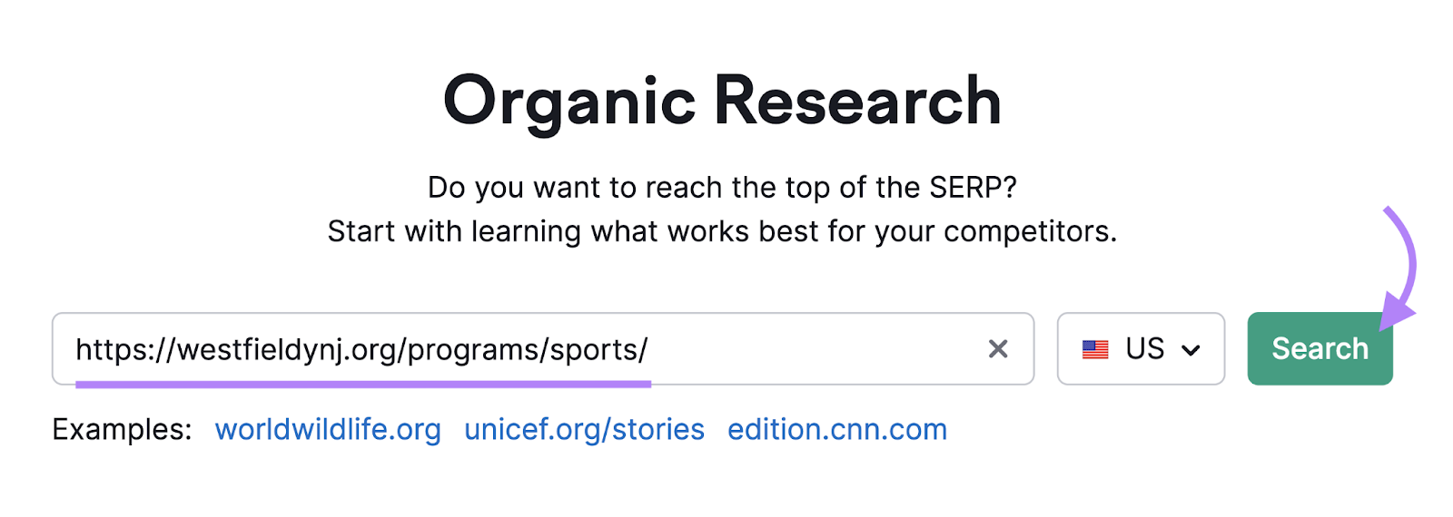domain for local sports program entered into organic research tool