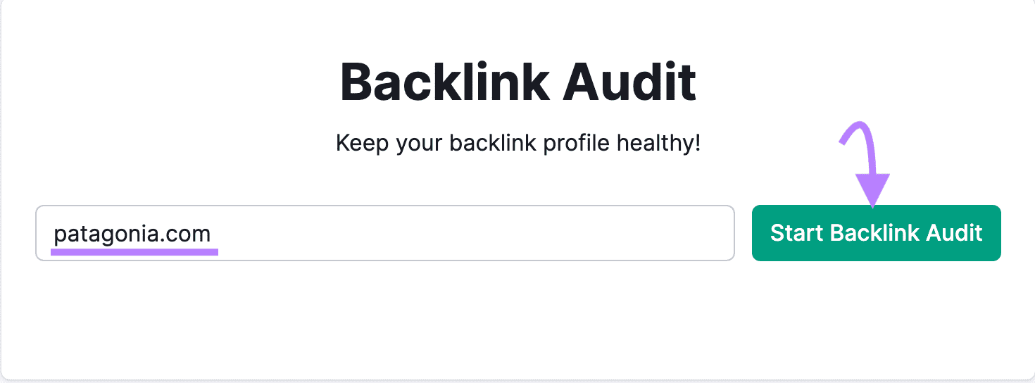 "patagonia.com" entered into Backlink Audit tool search bar