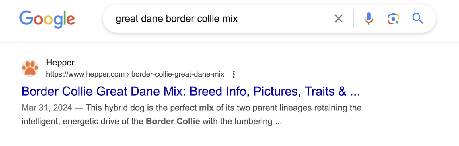 This leafage   ranks highly   successful  integrated  hunt  results for the keyword "great dane borderline  collie mix"