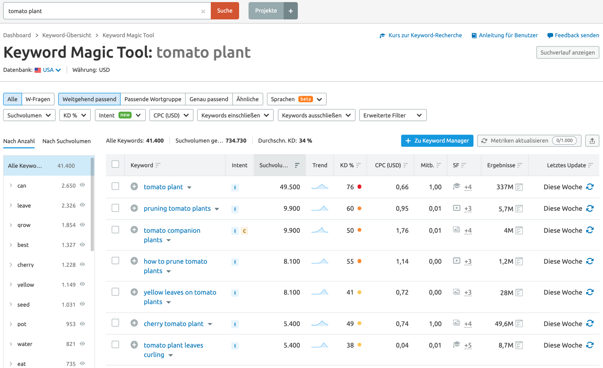 Semrush Keyword Magic Tool