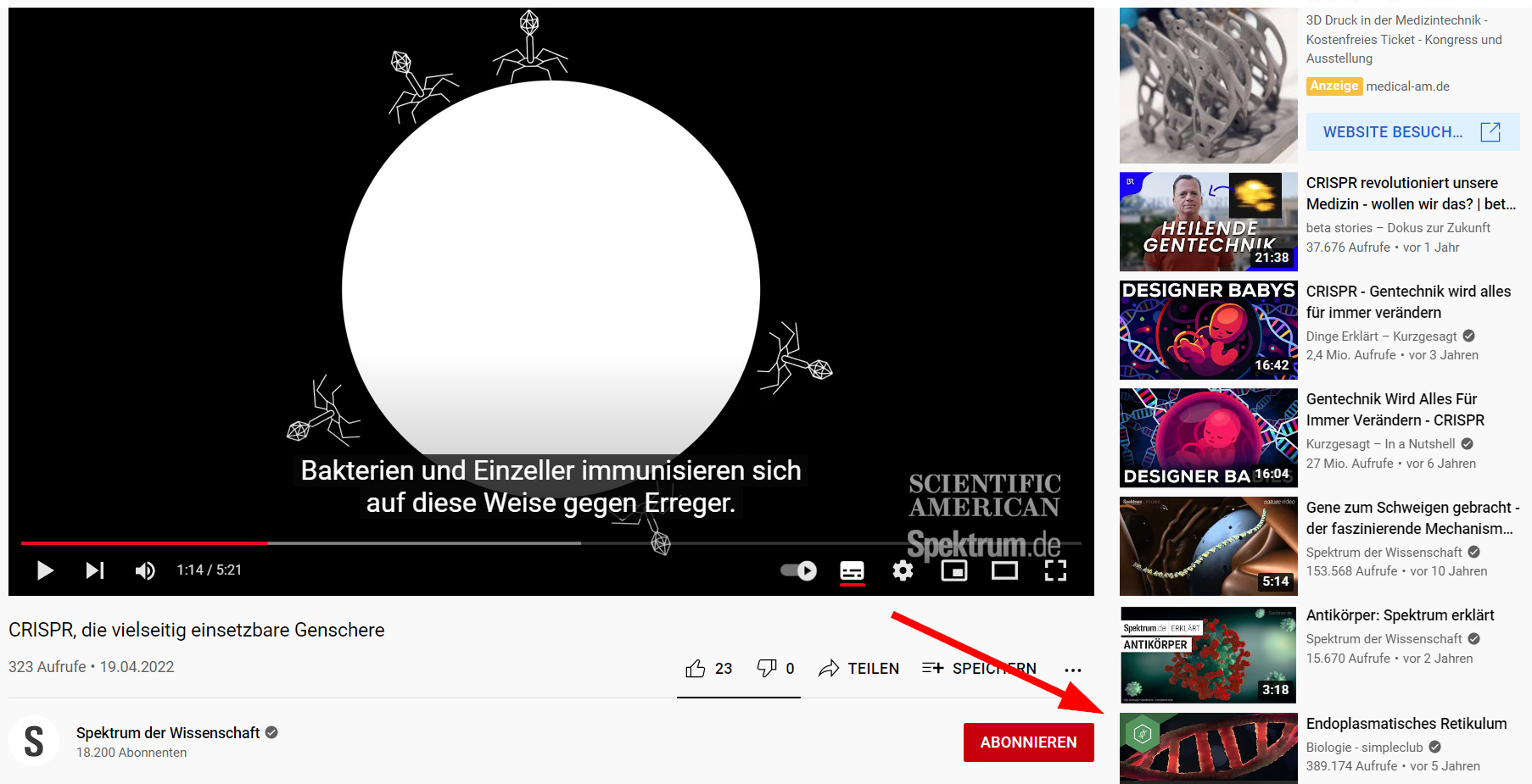 Screenshot: YouTube-Empfehlungen von anderen Kanälen