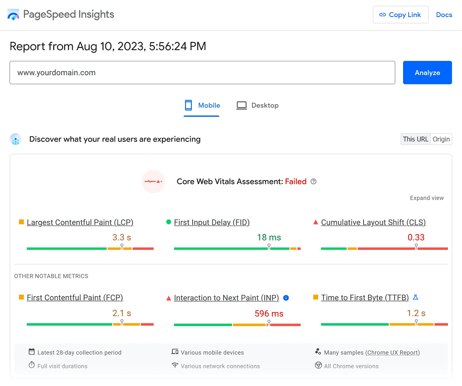 PageSpeed Insights detailed report