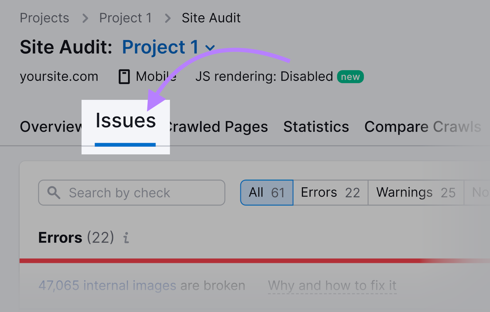Issues button in Site Audit tool