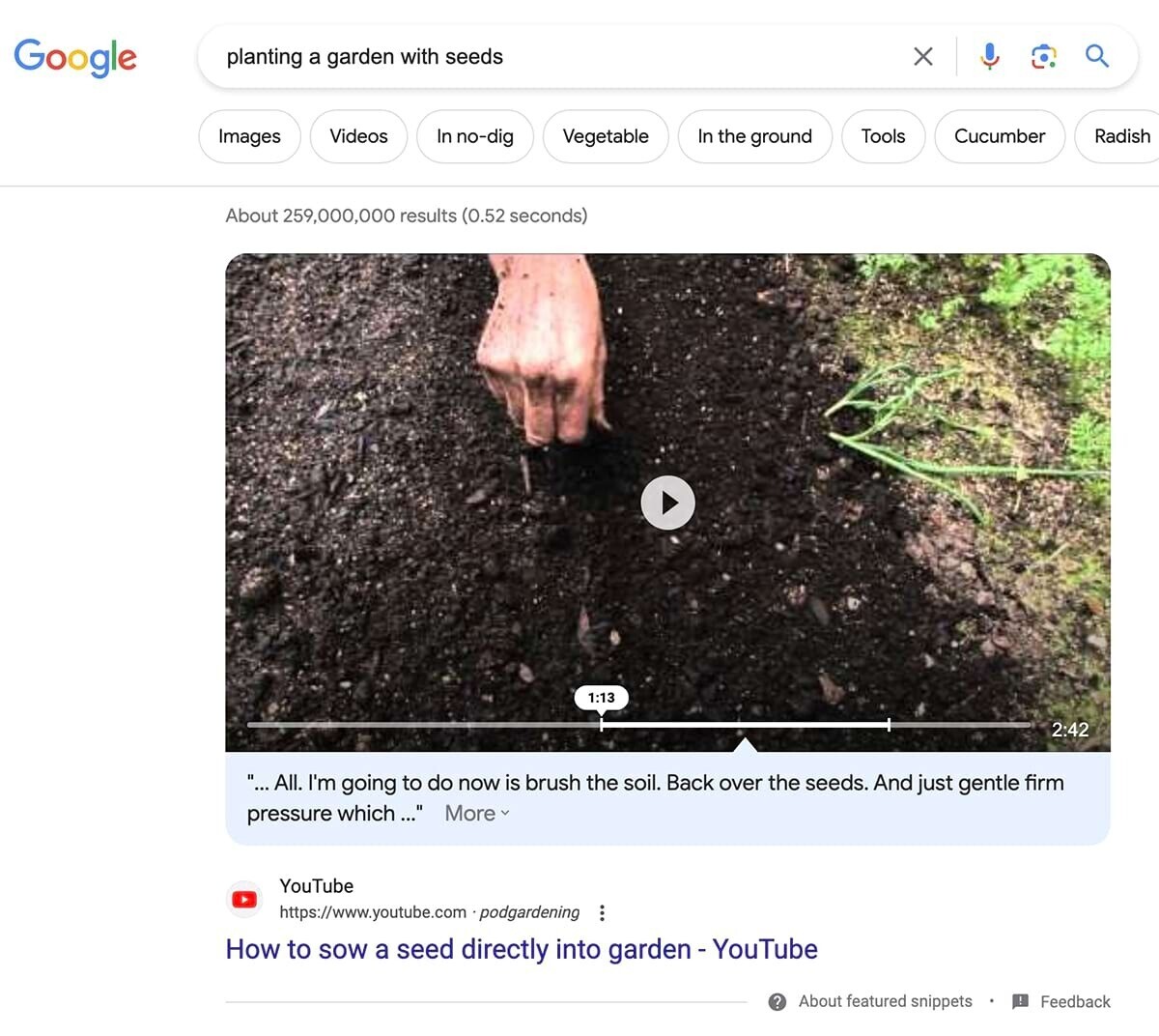 Google SERP video result for "planting a garden with seeds"