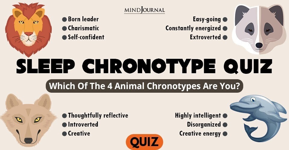 "Sleep Chronotype Quiz" infographic