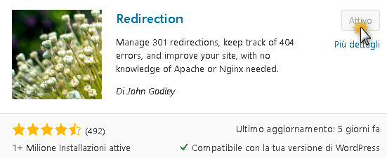 Redirection plugin