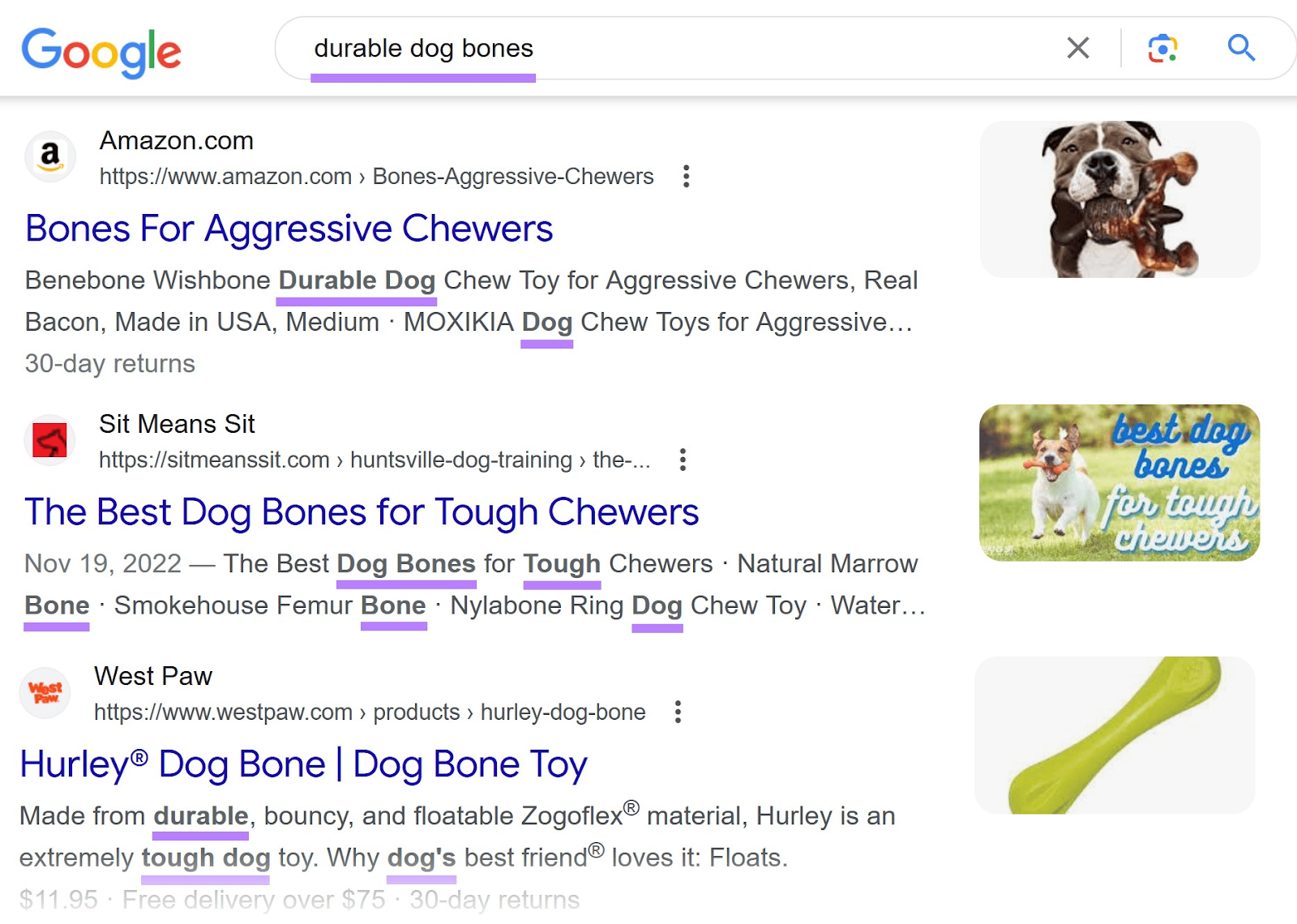 Google search results for “durable  bones” with keywords highlighted