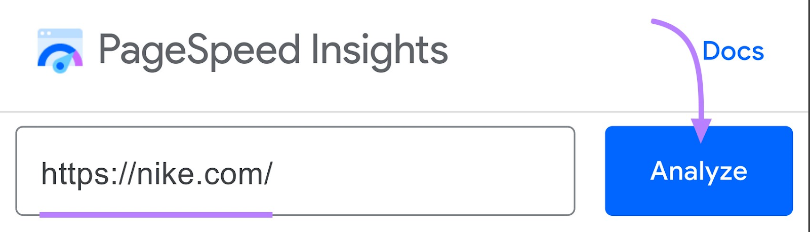 Google PageSpeed Insights search bar