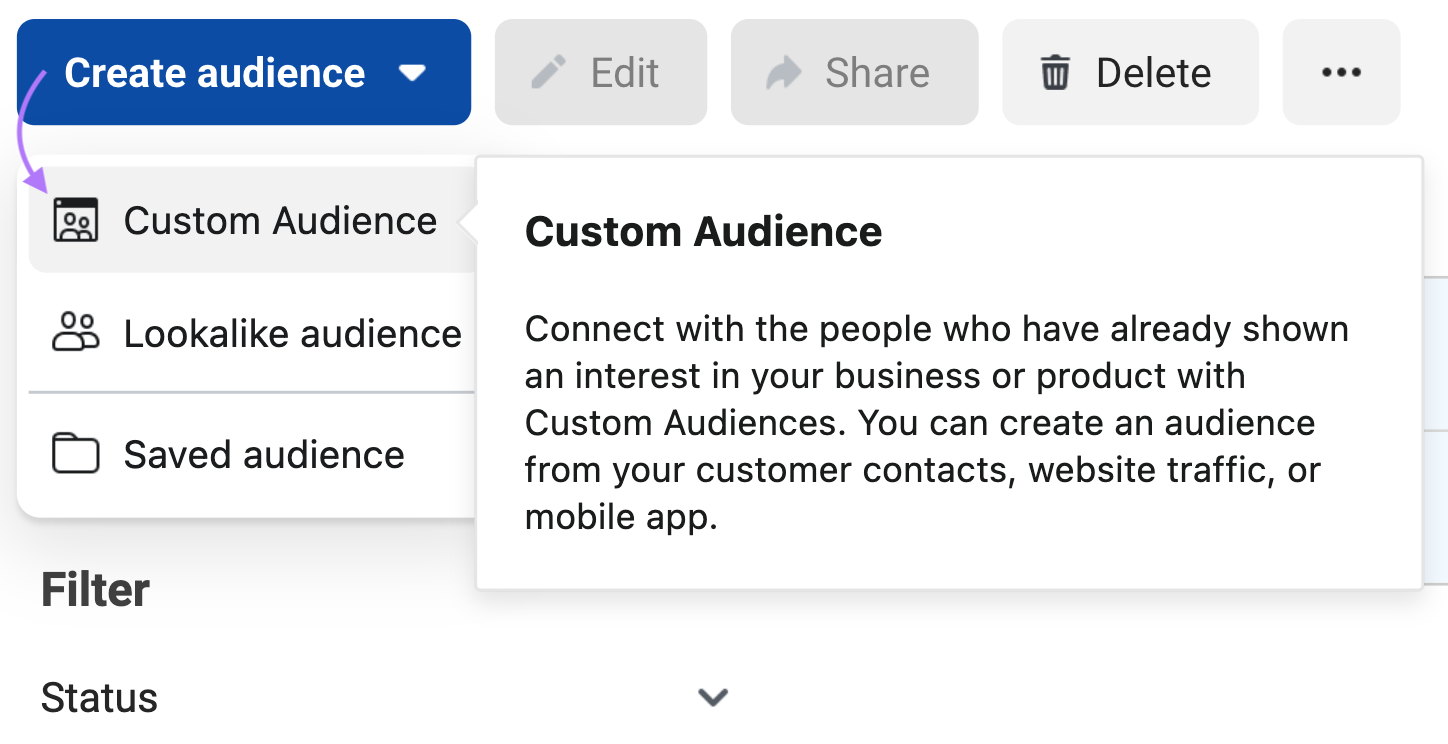 “Create audience” drop-down menu with "Custom Audience" selected