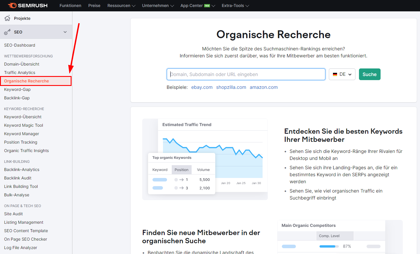 Screenshot: Organische Recherche