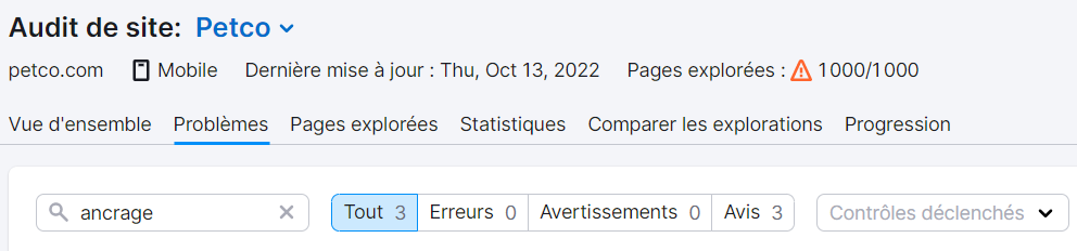 Audit de site, onglet Problèmes, filtre ancrage