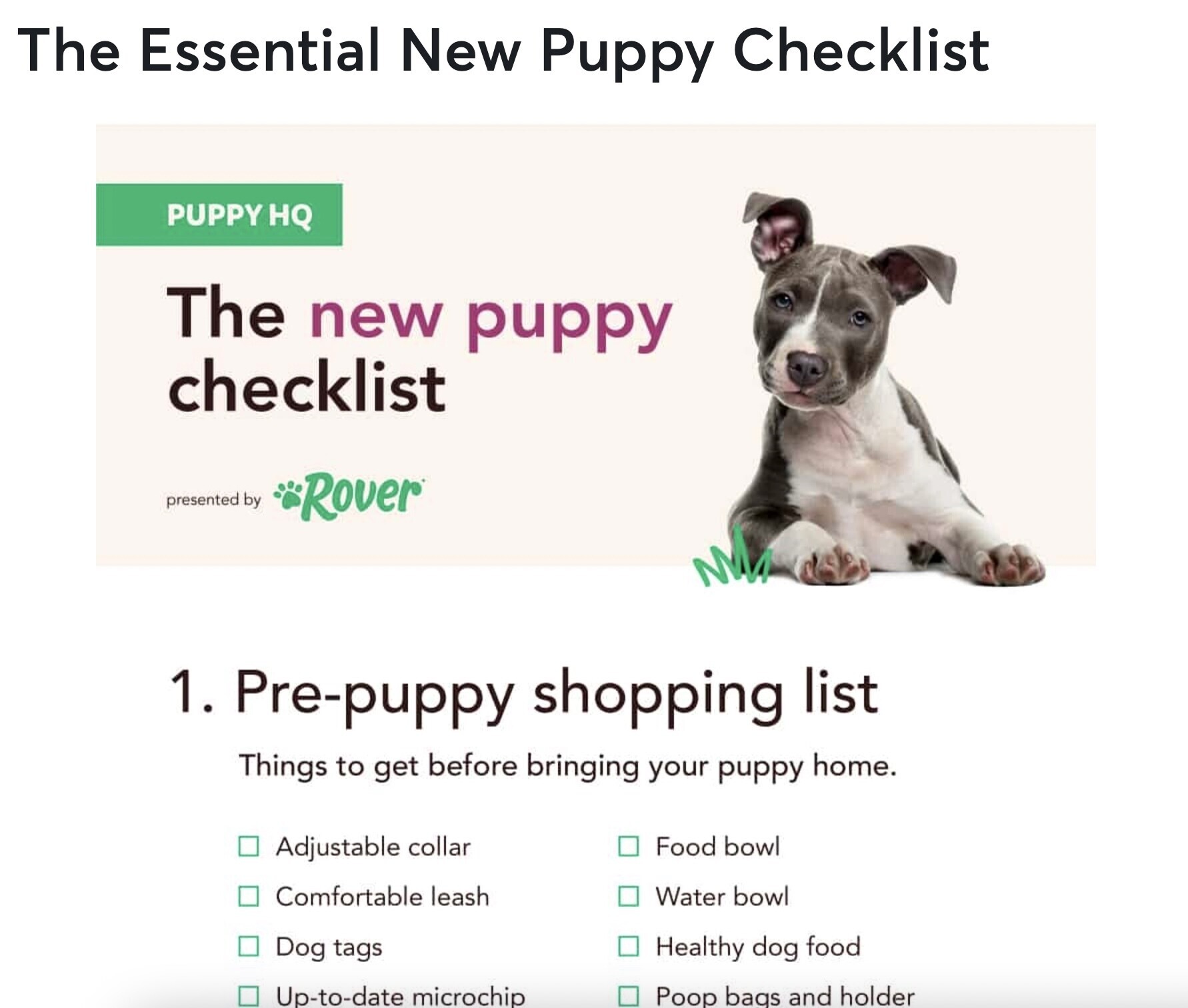 Blog post graphic about "The Essential new Puppy Checklist"