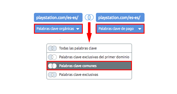 SEO y PPC - Keywords comunes