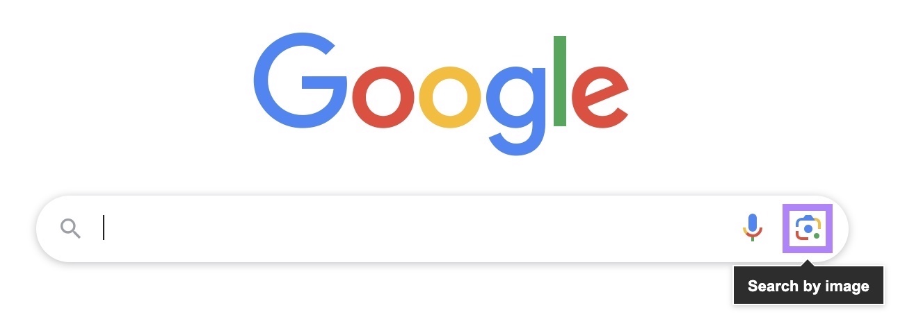 Tthe camera icon on the Google search bar highlighted