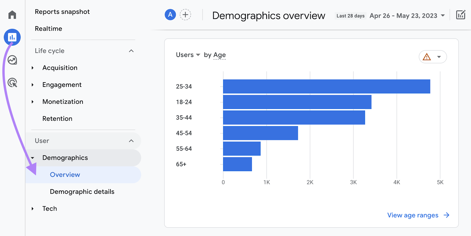 “Reports”> “Demographics” > “Overview” navigation in Google Analytics