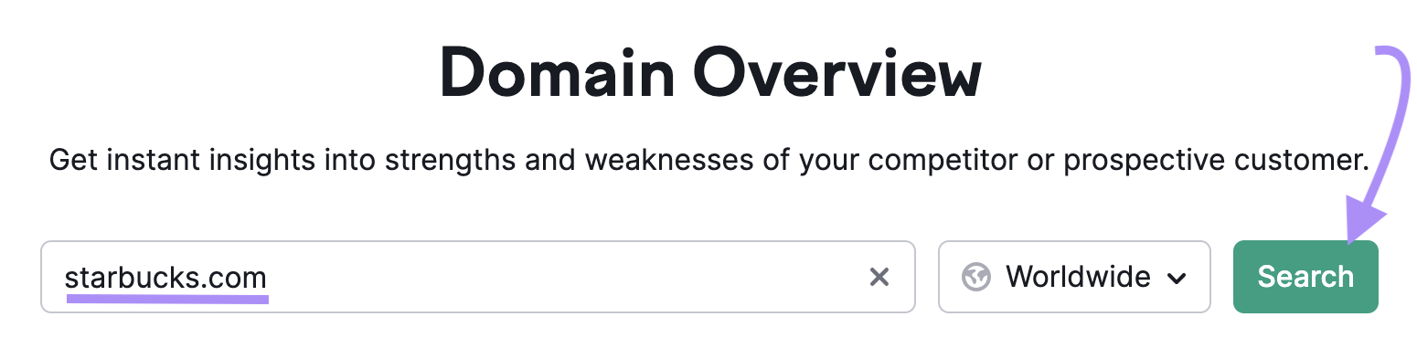 "starbucks.com" entered into the Domain Overview search bar