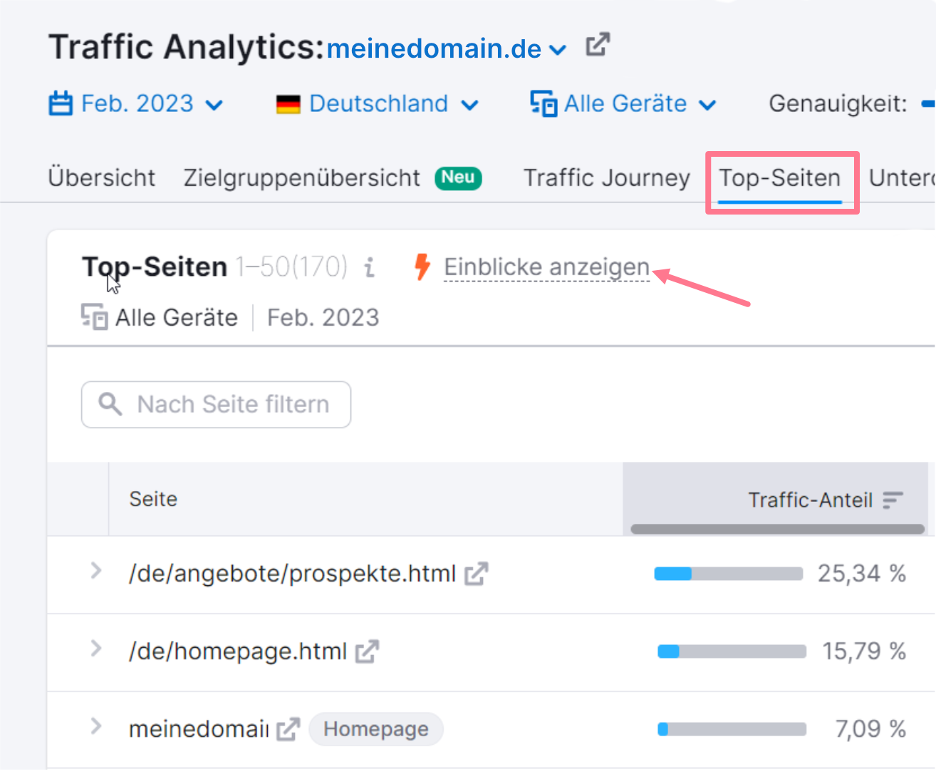 Traffic Analytics: Einblicke zu Top-Seiten