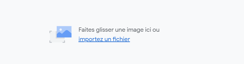 Google images par téléchargement de fichier