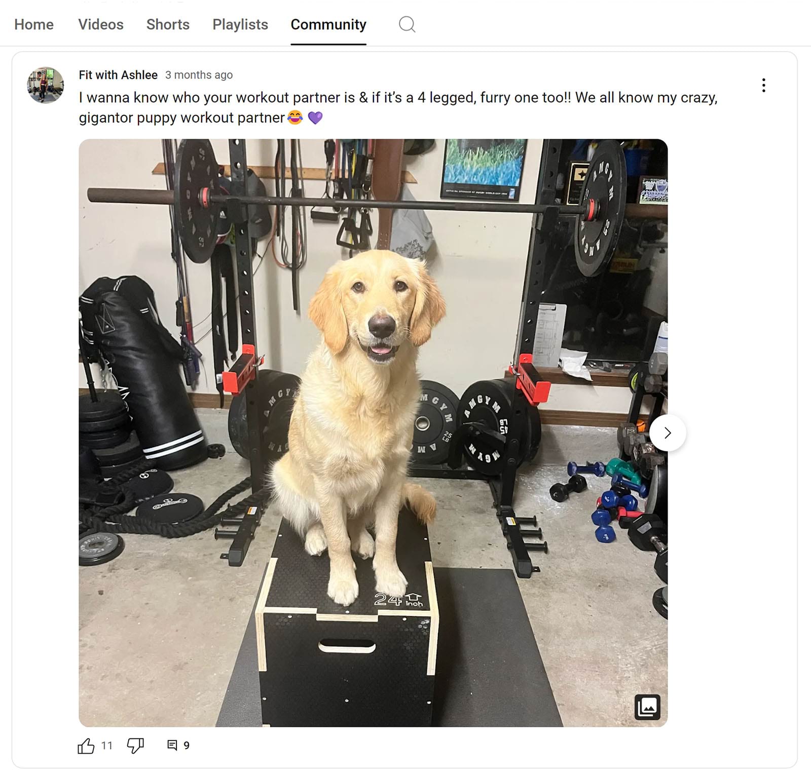 Community post by Fit with Ashlee showing dog sitting in front of squat rack.