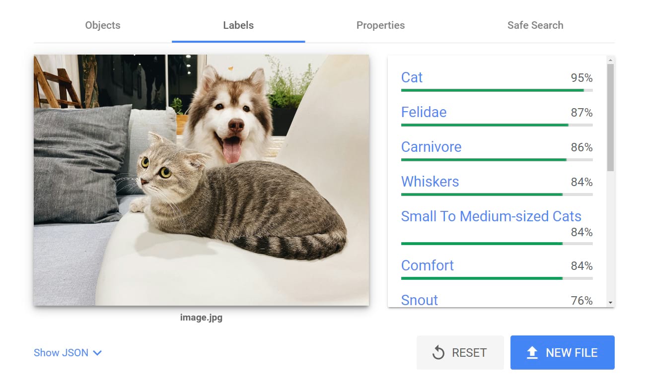 Google Cloud’s Vision AI results for an uploaded image of a dog and a cat