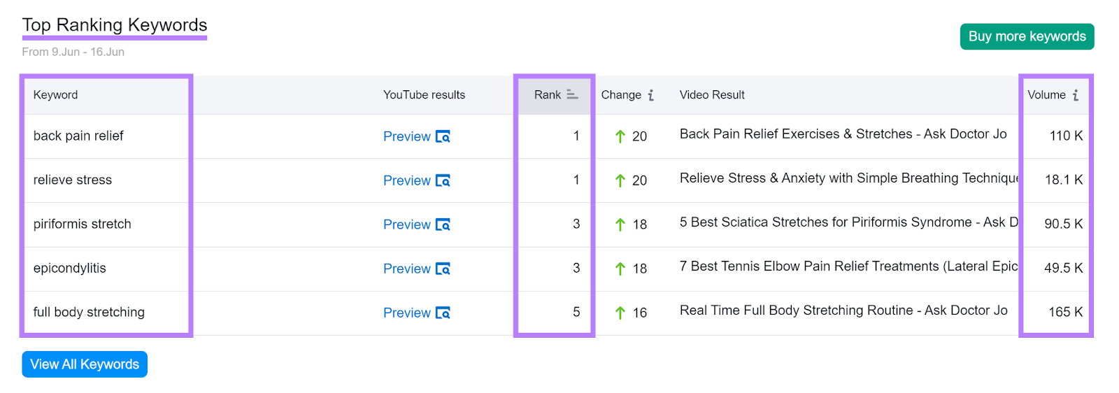 Top Ranking Keywords conception  with Keyword, Rank, and Volume columns highlighted.