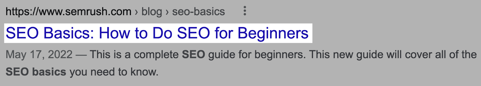 "SEO Basics: How to Do SEO for Beginners" title tag in Google SERP