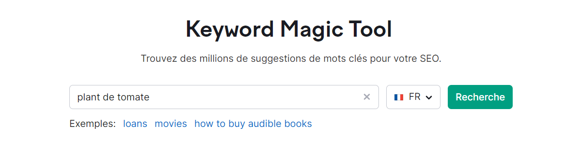 Champ de saisie de Keyword Magic Tool