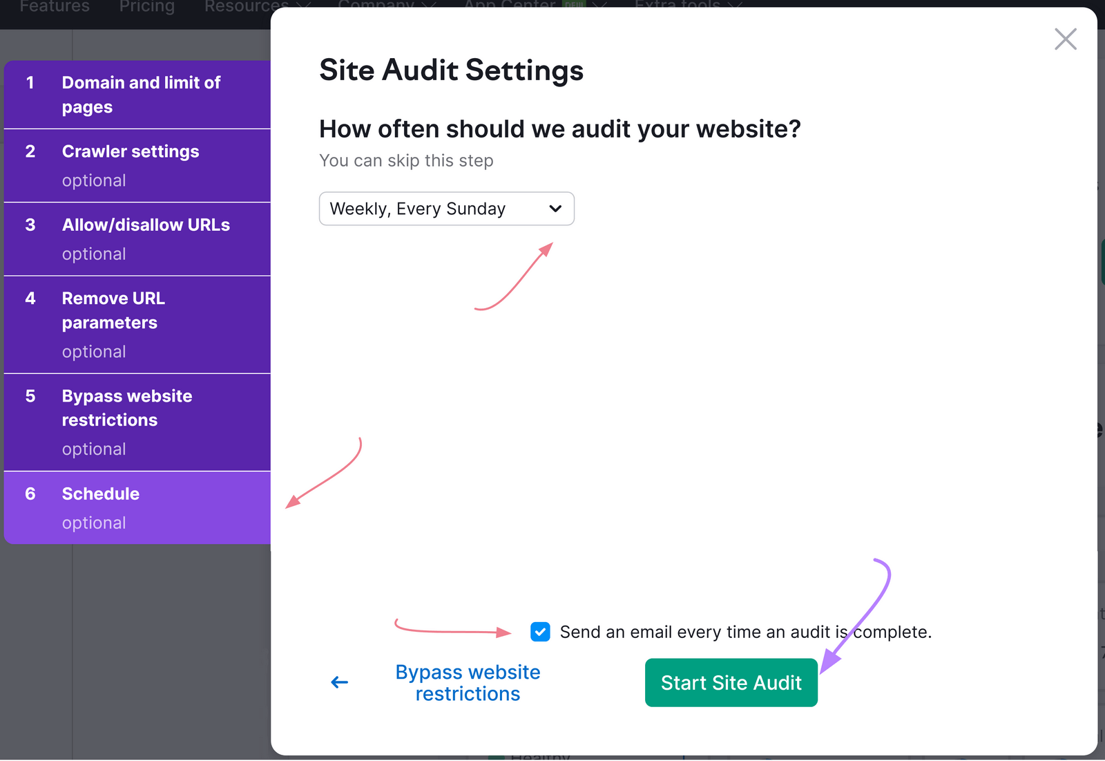 "Site Audit Settings" box
