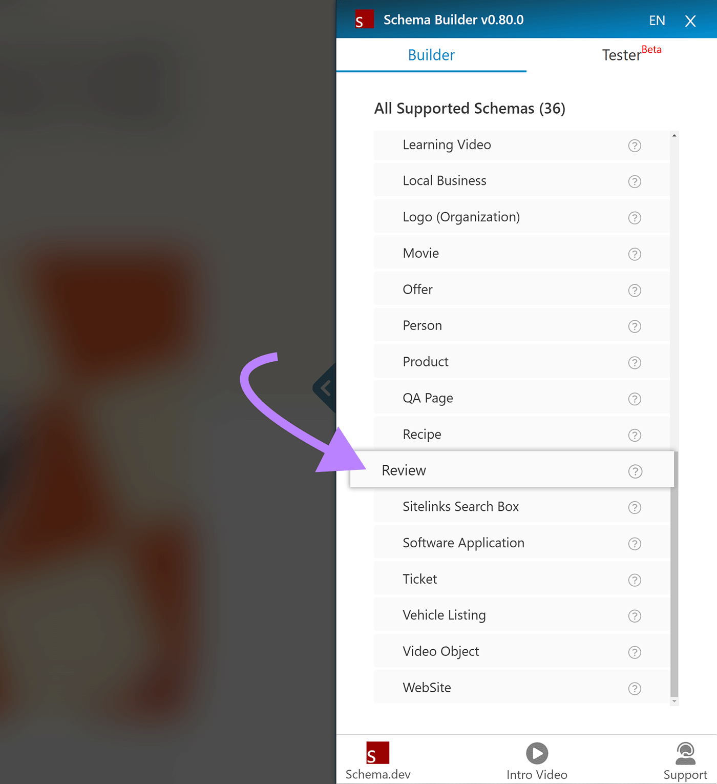 Schema Builder sidebar with arrow pointing to Review option under All Support Schemas