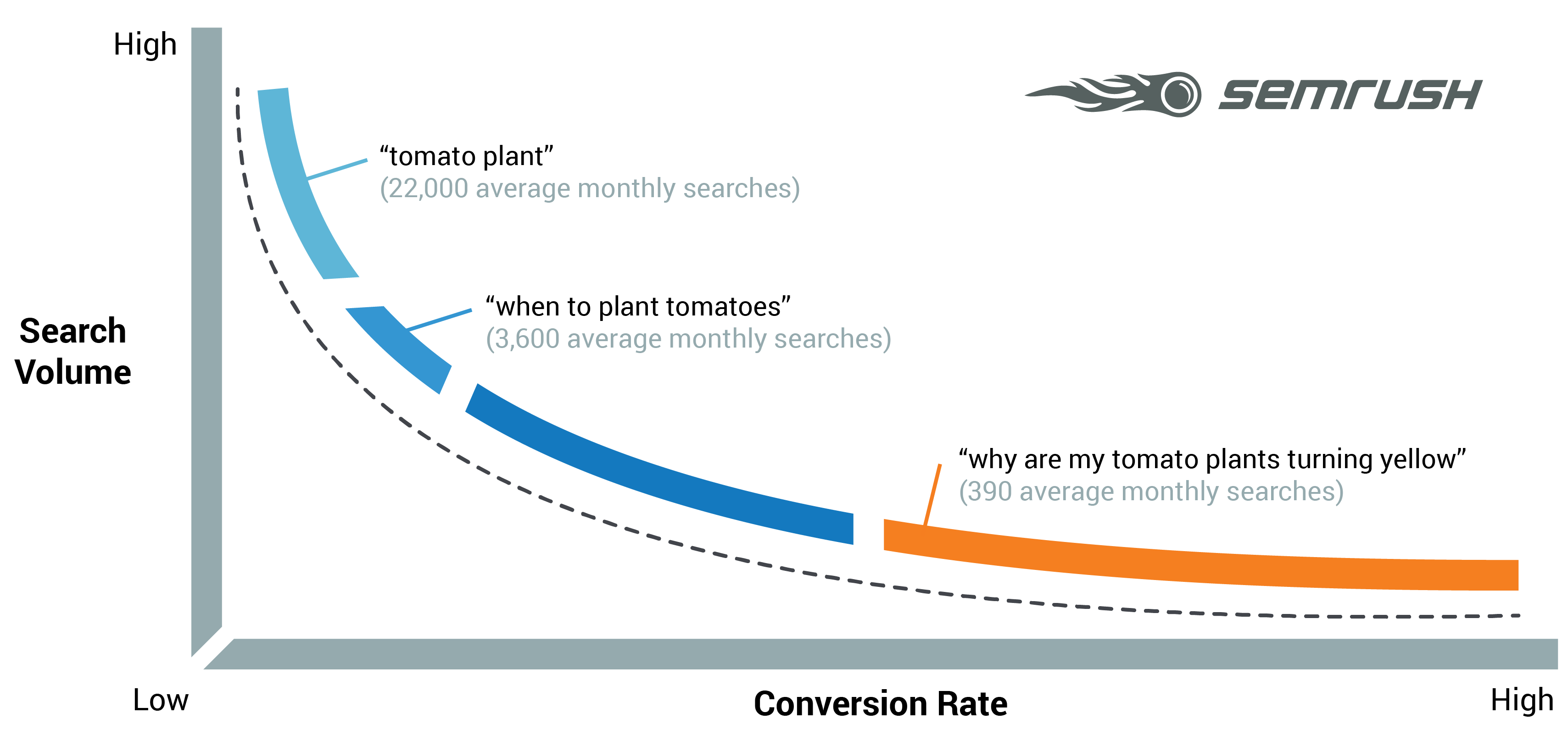 Grafico della relazione tra long, middle e head tail keyword e Conversion rate