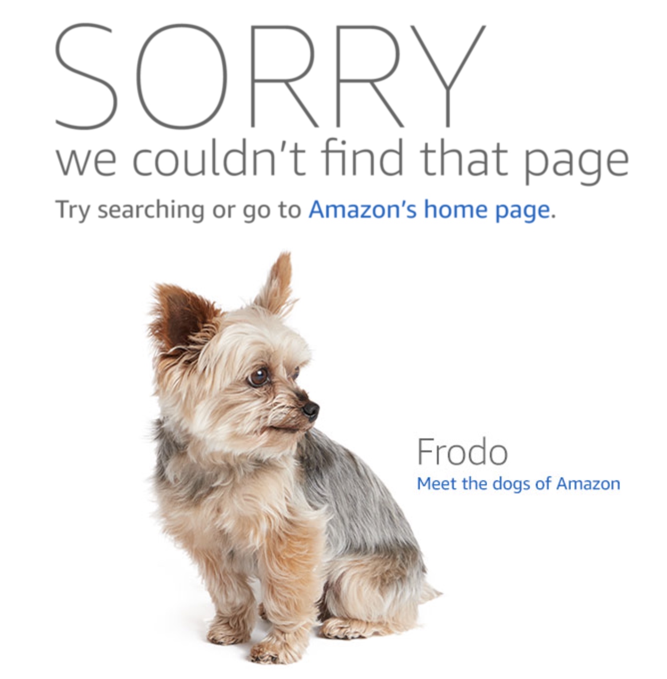 Amazon's customized  404 page