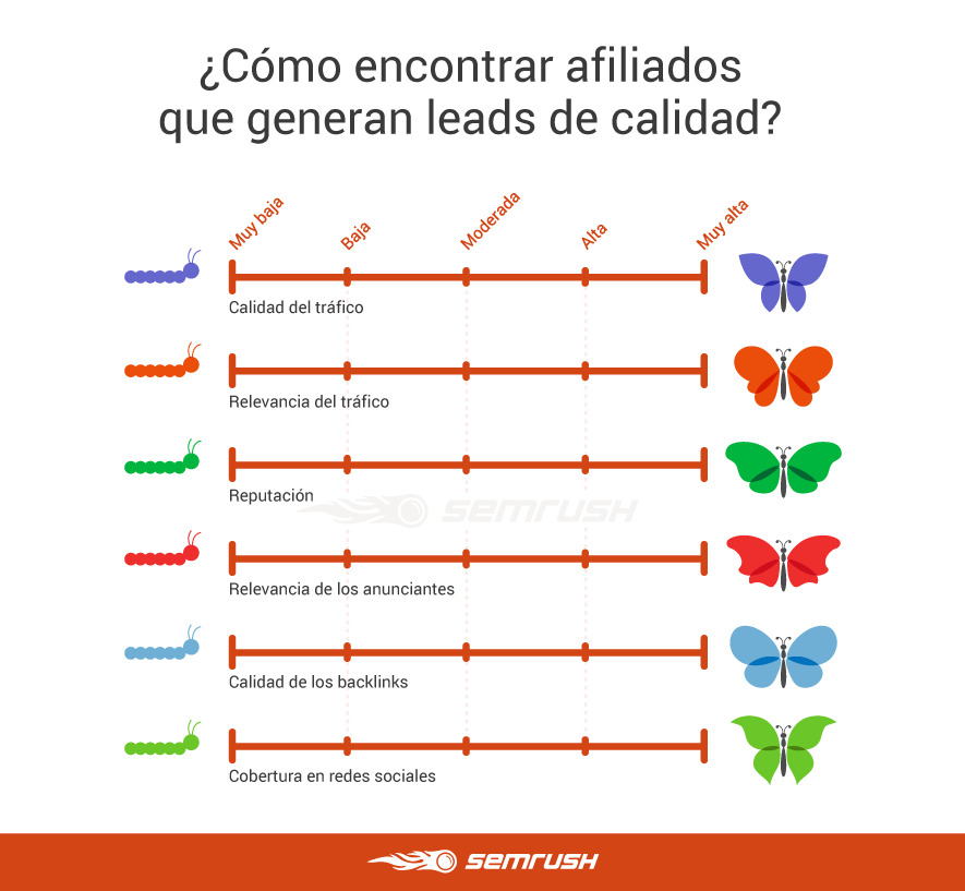 Leads de calidad - Gráfico afiliados