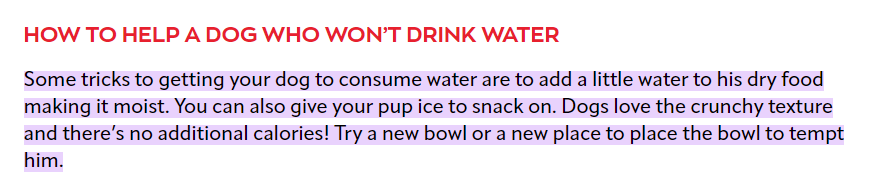 “How to help a dog who won’t drink water?” by by the Veterinary Emergency Group