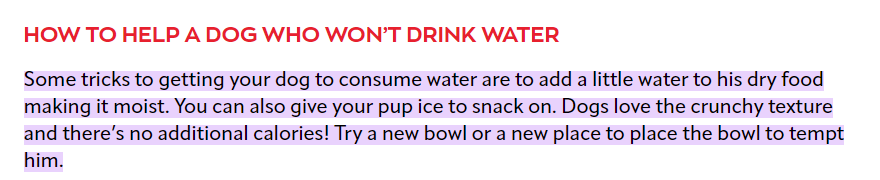 “How to help a  who won’t drink water?” by by the Veterinary Emergency Group