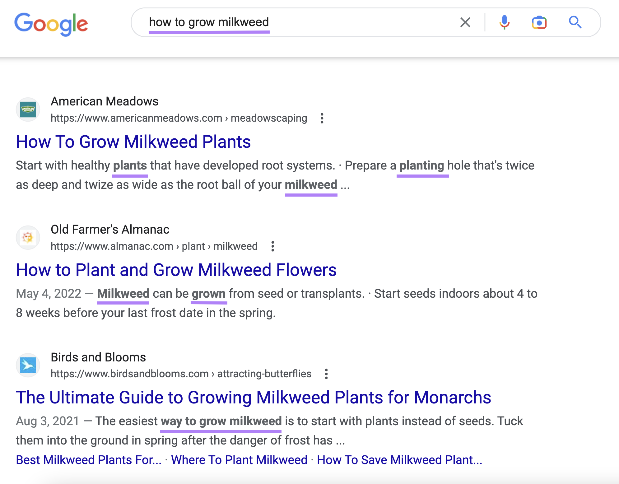 Search engine results page with bolded keywords in meta descriptions