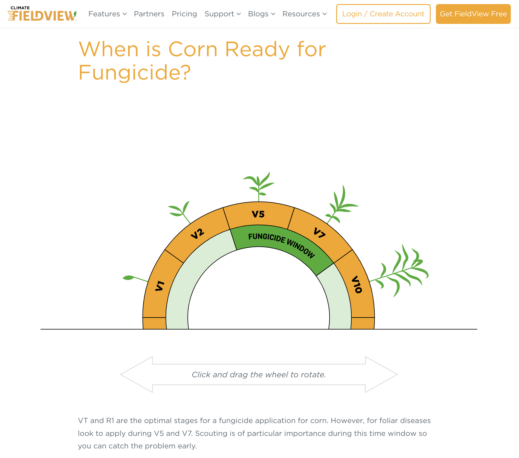 Fieldview’s Fungicide page depicts a cartoon rendering of an orange and green semi-circle against a white background. There is a series of progressively taller, cartoon corn plants growing out of the top of the semi-circle with measurements for the “Fungicide Window” (V1-V10). There is a double arrow with the words “Click and drag the wheel to rotate.” inside. The page's description reads, “VT and R1 are the optimal stages for fungicide application for corn. However, foliar diseases look to apply during V5 and V7. Scouting is of particular importance during this time window so you can catch the problem early.” 
