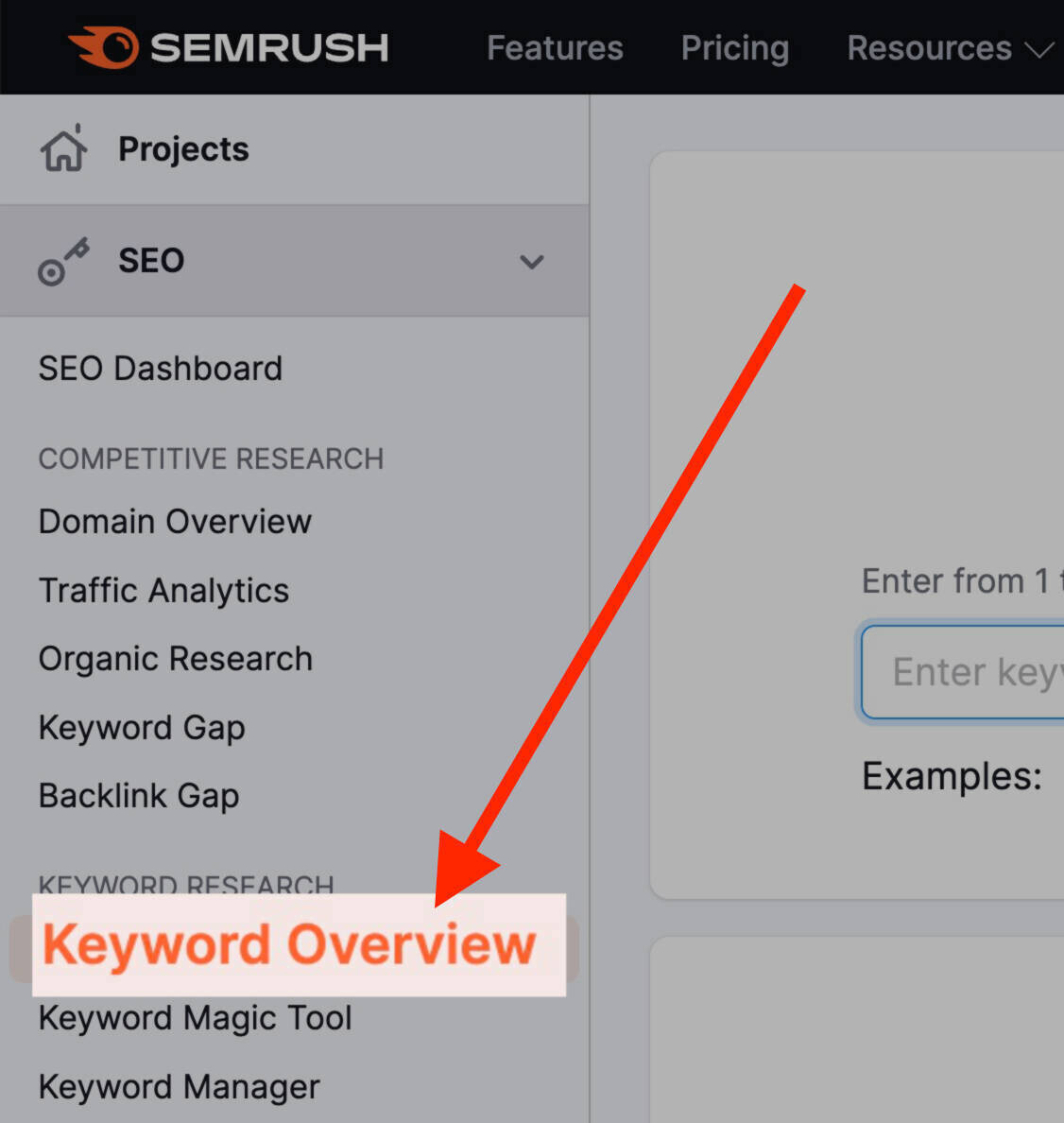 keyword overview tool