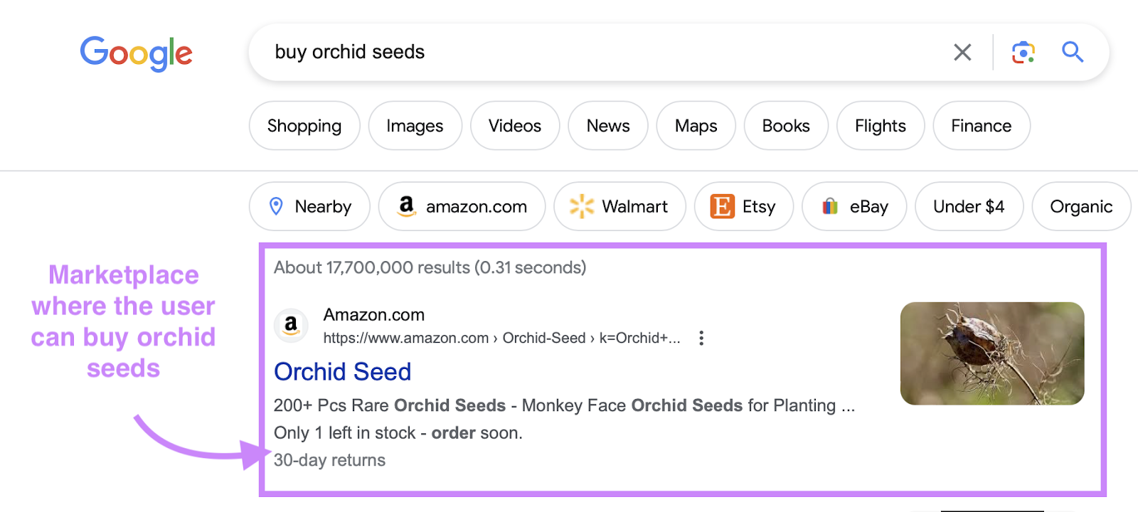 Google search for “buy orchid seeds”