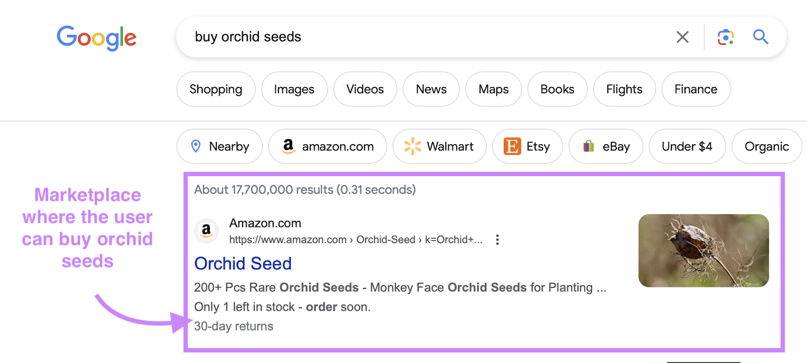 Recherche Google pour « acheter des graines d'orchidées »