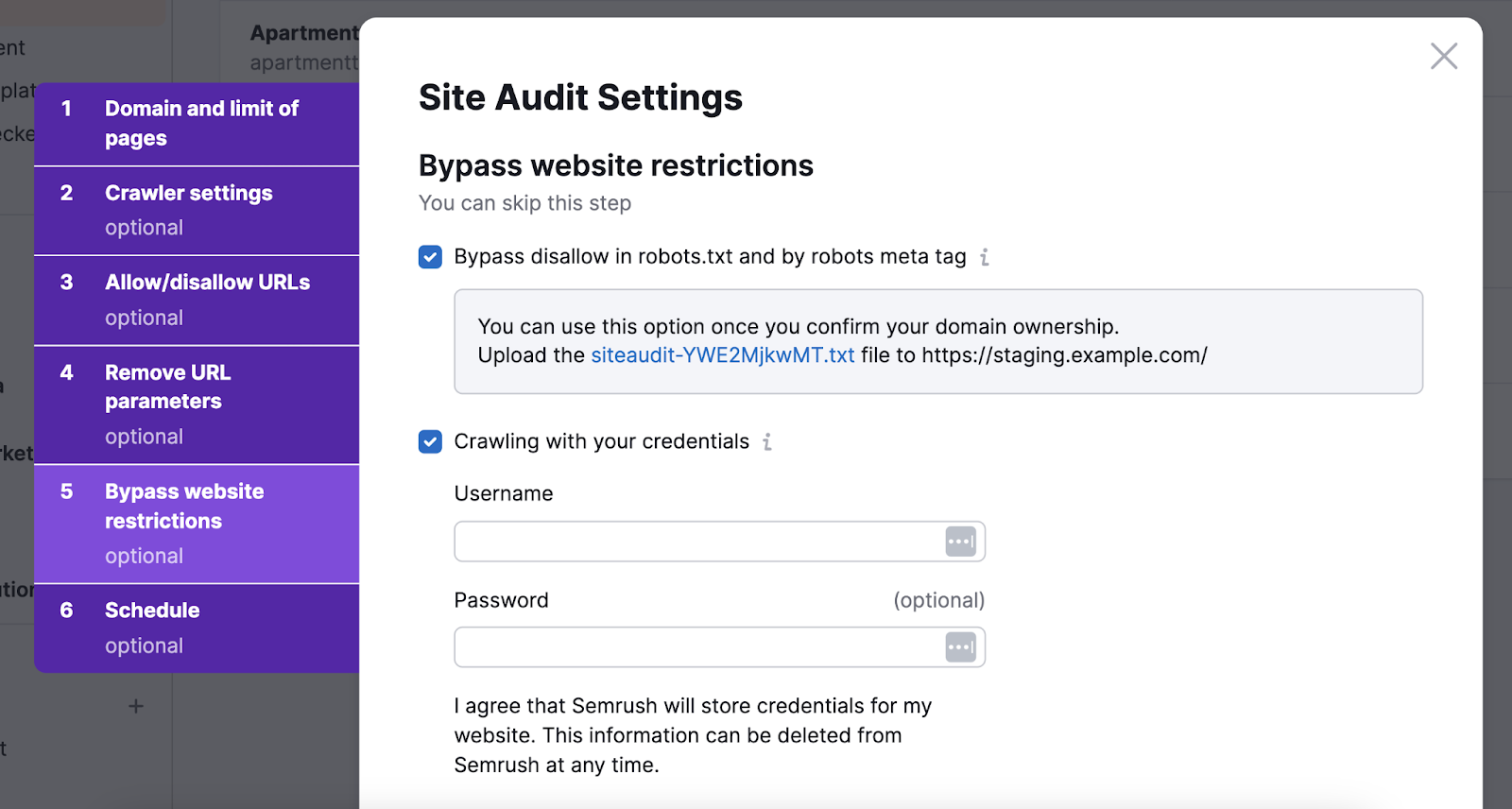 Site Audit Settings, bypass website restrictions window