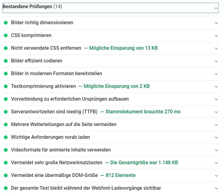 Google PageSpeed Insights: Bestandene Prüfungen