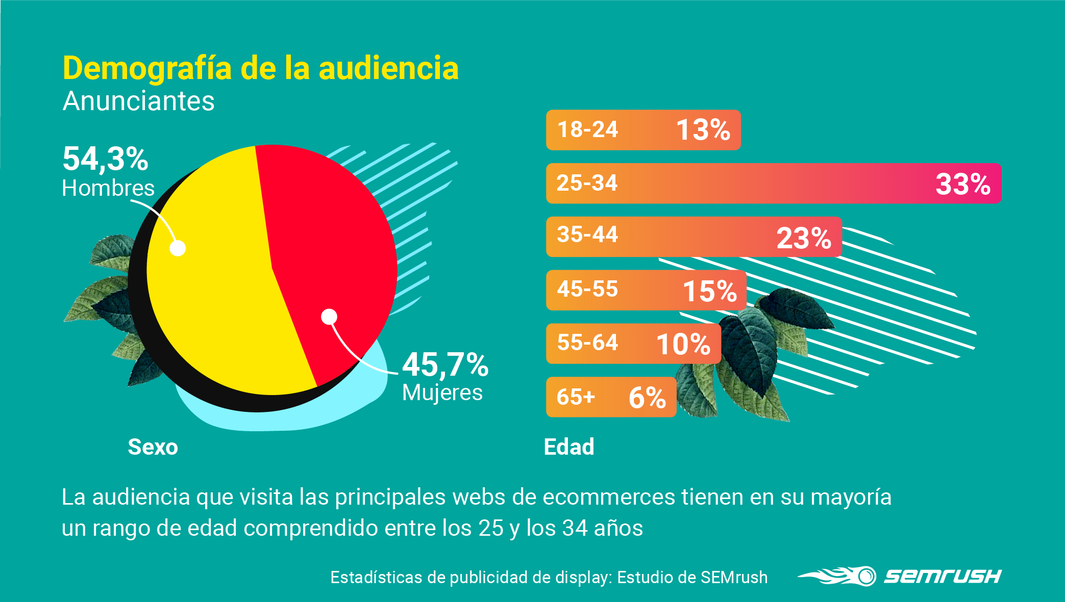 Display advertising - Anunciantes demografía